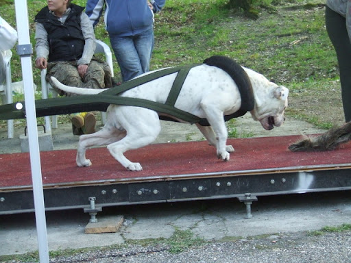 DSCF5223.JPG