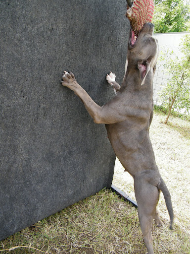 2010%20%20j%C3%BAlius%20127.jpg