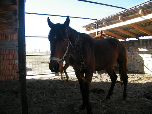 Lovak%20003.jpg
