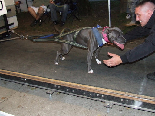 DSCF0567.JPG