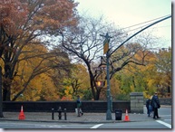 Central Park Fall 3