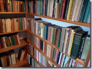 Bookshelves 2