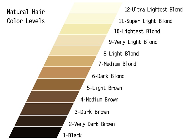 [JULY - Natural hair color Levels 101[3].jpg]