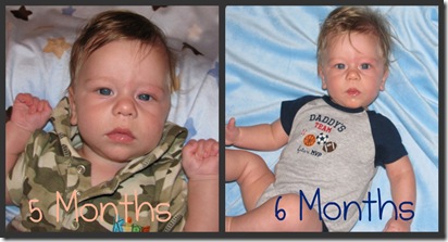 5&6 Months