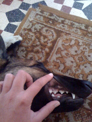 photo15.jpg