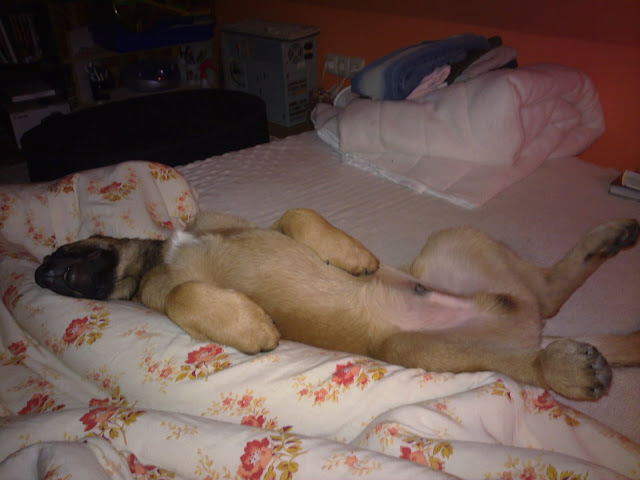 20100117024.jpg