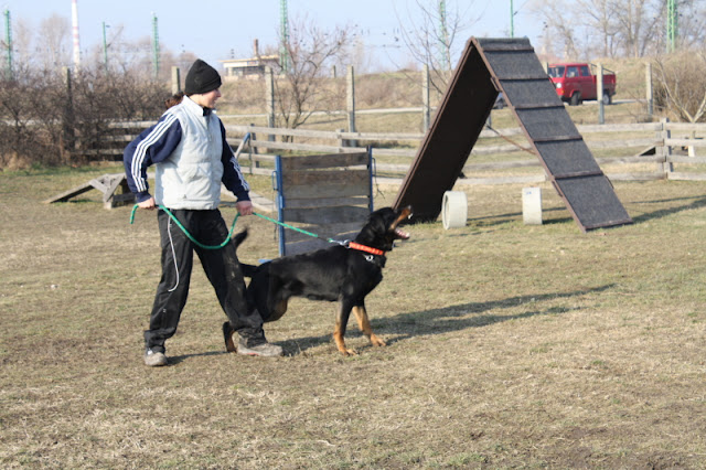 DPP_0025.JPG