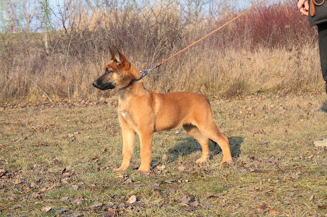 DPP_0300.JPG
