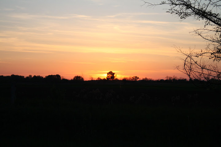 IMG_6327.JPG