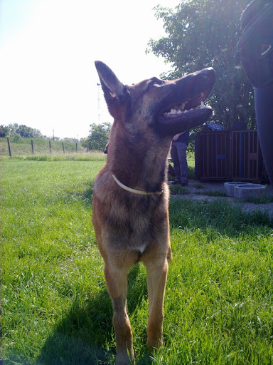 20100606379.jpg
