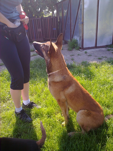 20100606377.jpg