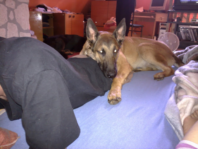 20100612401.jpg