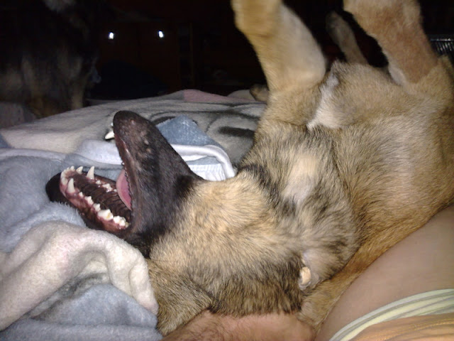 20100616408.jpg