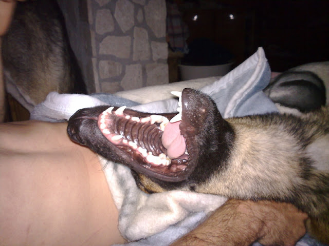 20100616409.jpg
