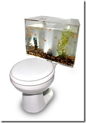 toilet-aquarium