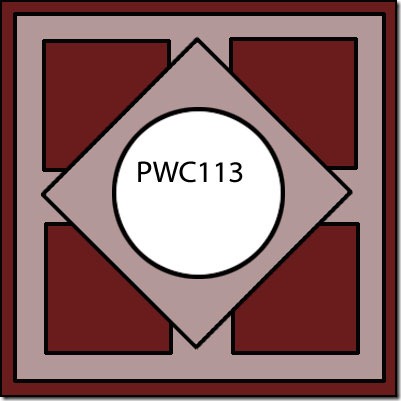 PWC113