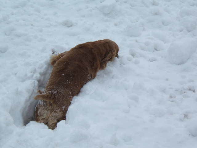 DSCF0885.JPG