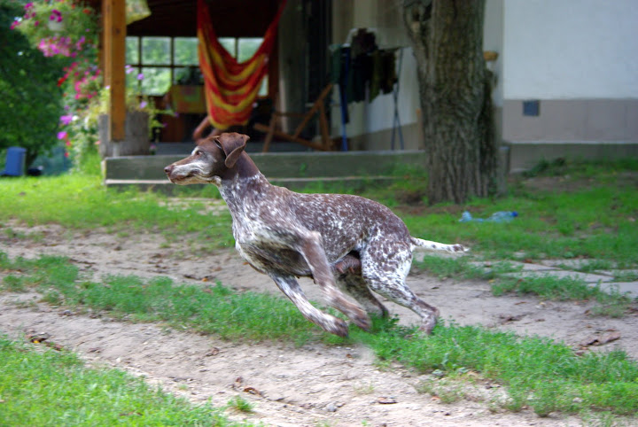 IMGP0977.JPG