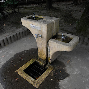 水飲み場：生田緑地