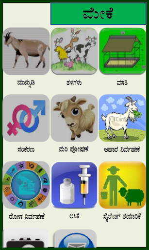 Goat Kannada