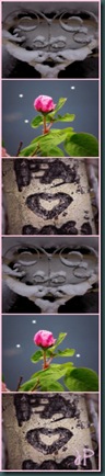 Heart Picnik collage6 wm.jpeg