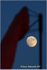Almost full Moon-March_6930