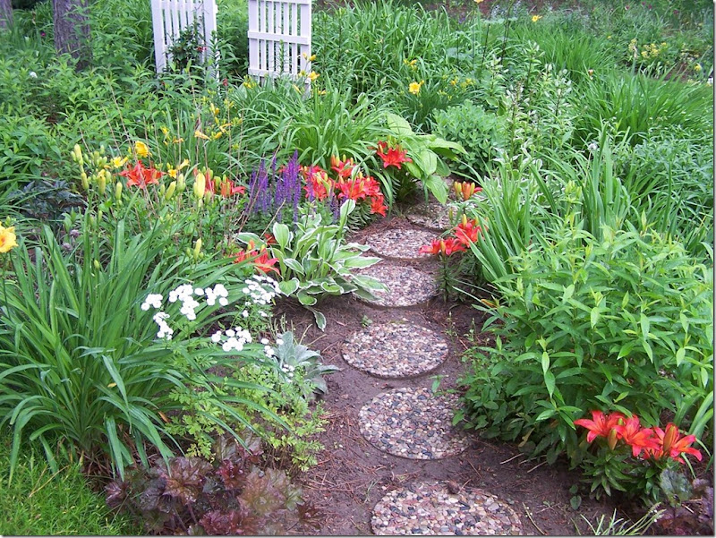 red carpet lily path 062310 (Large)