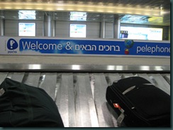 Ben Gurion airport arrival lounge. Luggage carousel