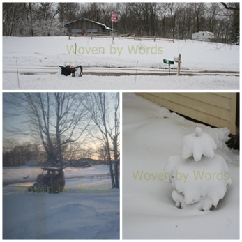 More Winter Photos