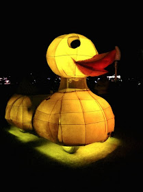 Duck Car