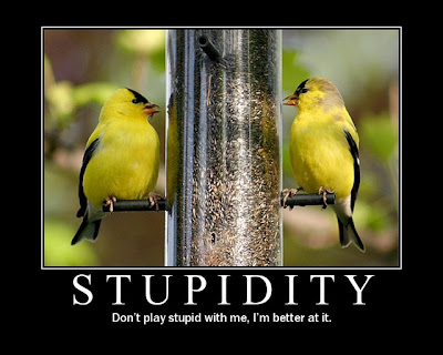 stupidity