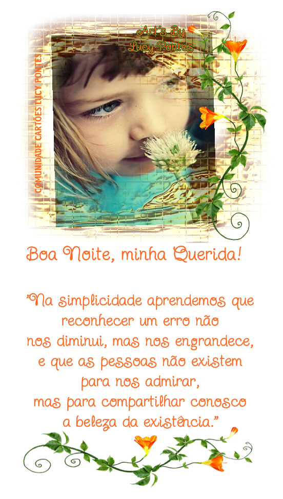BOA%20NOITE%20271.png