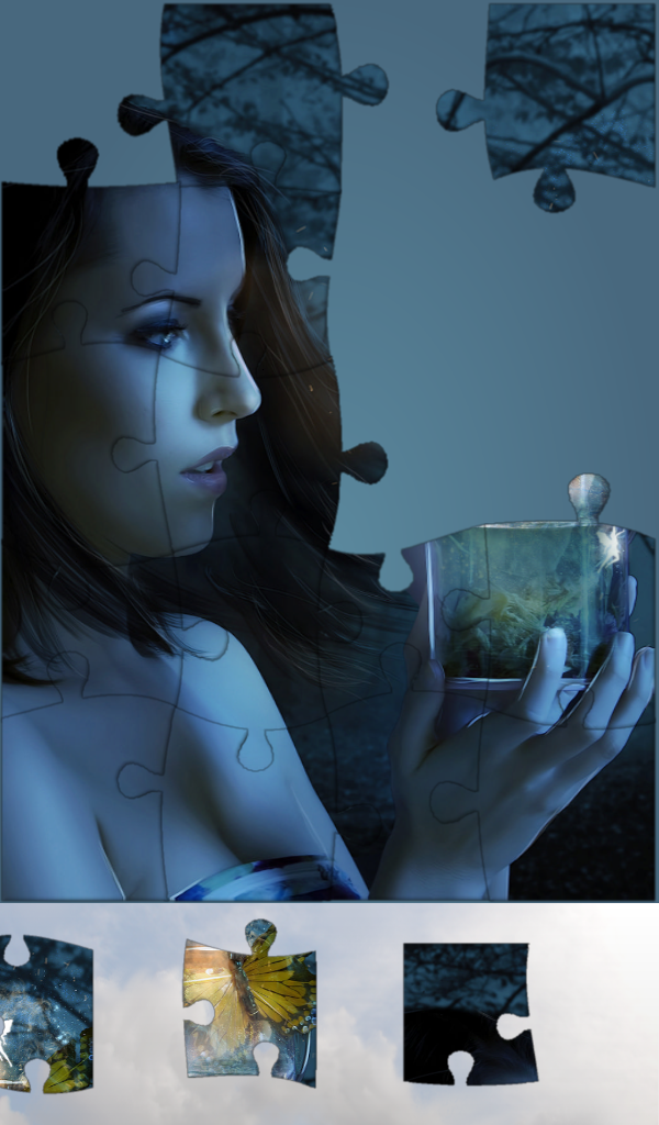Live Jigsaws - Illusions Screen 3