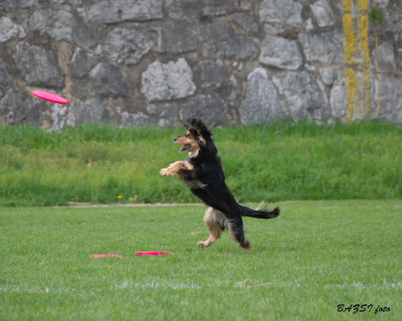 DSC_0215.JPG