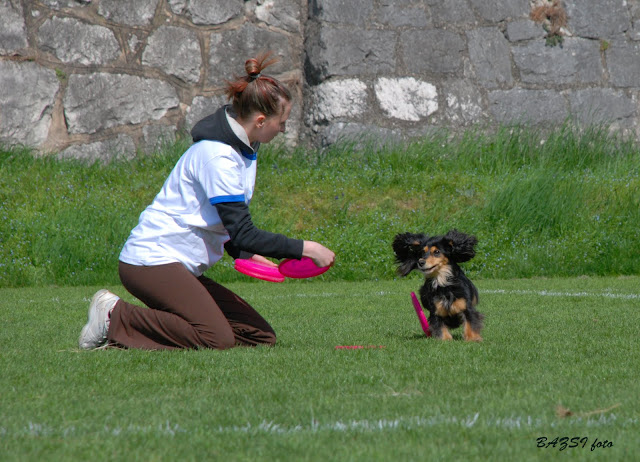 DSC_0111.JPG