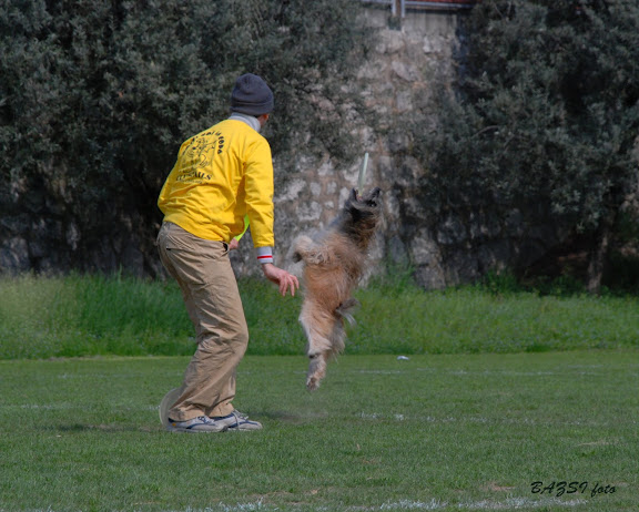 DSC_0212.JPG