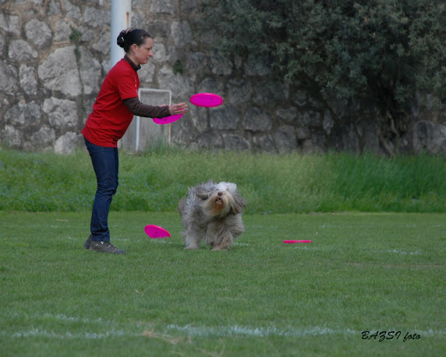 DSC_0331.JPG