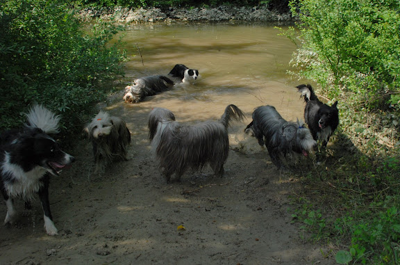 DSC_0011.JPG