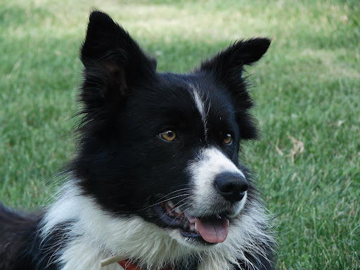 DSC02217.JPG