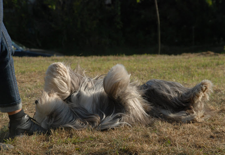 DSC_0176.JPG