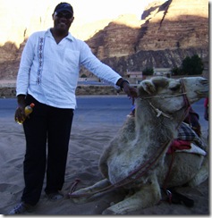 DMB Petting Camel