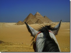 Horse And Pyramids