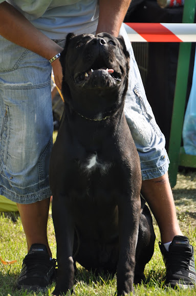 DSC_0016.JPG