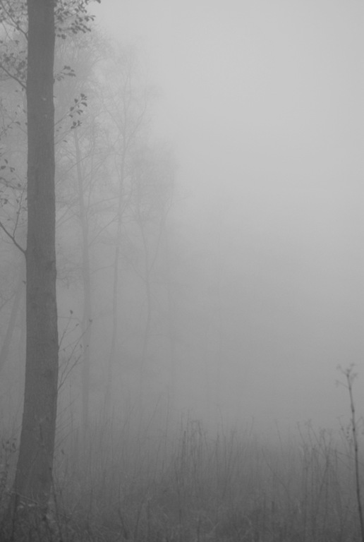 [Dissapearing in fog[9].jpg]