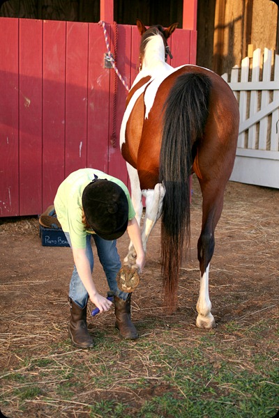 Horseback riding lesson clean hooves