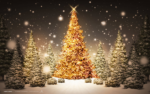 natal044.jpg