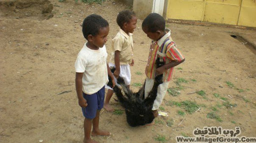 اضغط هنا وشوف الى احبه