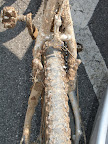Vektor_foto25_rear_tyre.JPG