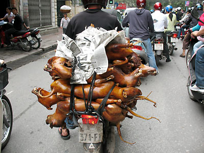 [Funny Vehicle and Ride Only in Vietnam Living (8).jpg]