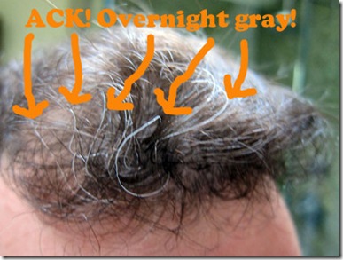 overnight-gray-hair